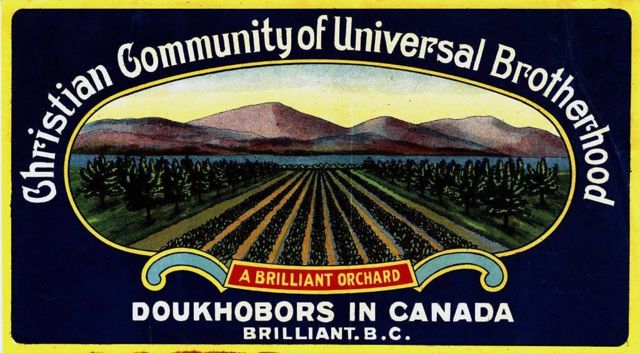 Secta religiosa perseguida en Rusia se estableció en Canadá con ayuda de Tolstoi Una etiqueta de fruta de los agricultores dujobor del oeste de Canadá en Brilliant, Columbia Británica alrededor de 1930.