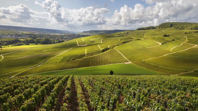 Paisagem de Champagne, na França