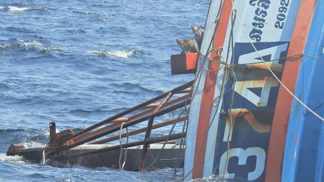 Cats look out from a sinking boat in the Andaman Sea March 2, 2021