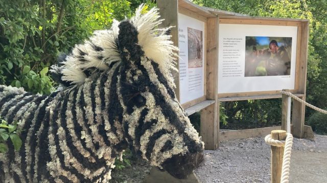 Giant straw animal sculptures go on display at Longleat safari park - BBC  News