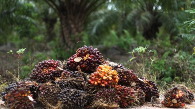 எண்ணெய்