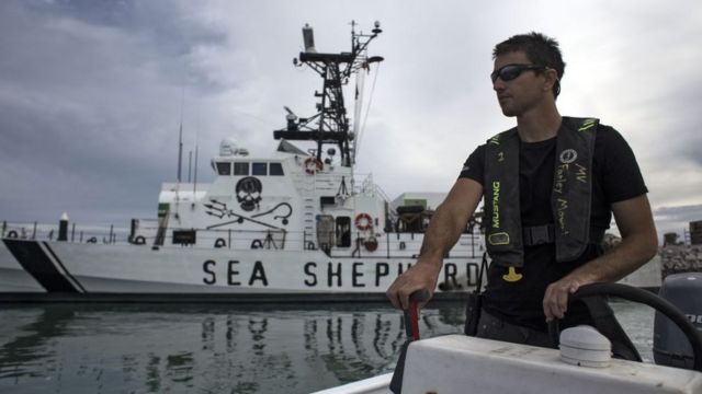 Un conservacionista de Sea Shepherd patrulla en una lancha, con la embarcación Farley Mowat en el fondo