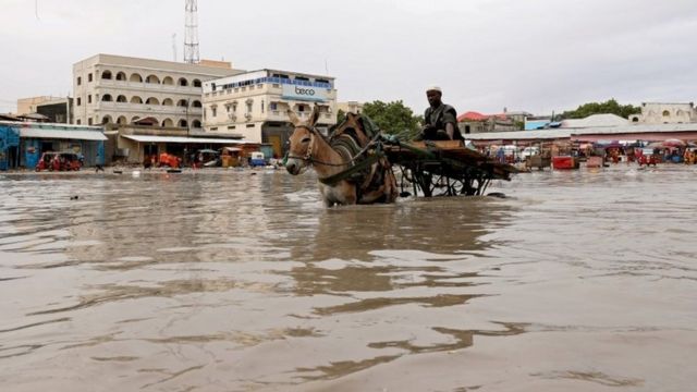 A donkey pulls a cart as they wade through a flooded street in Hamerweyne district of Mogadishu, Somalia May 20, 2018
