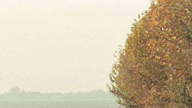 Özbəksitanla Tacikistan arasında sərhədin uzunluğu 1161 km-dir