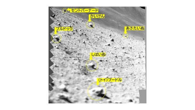 SLIM搭載マルチバンド分光カメラ（MBC）による月面スキャン撮像モザイク画像の拡大図・岩石には、犬種の名前が愛称として付けられている