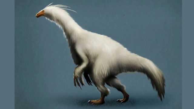 Tous les dinosaures portaient des plumes, selon un paléontologue belge - La  Libre