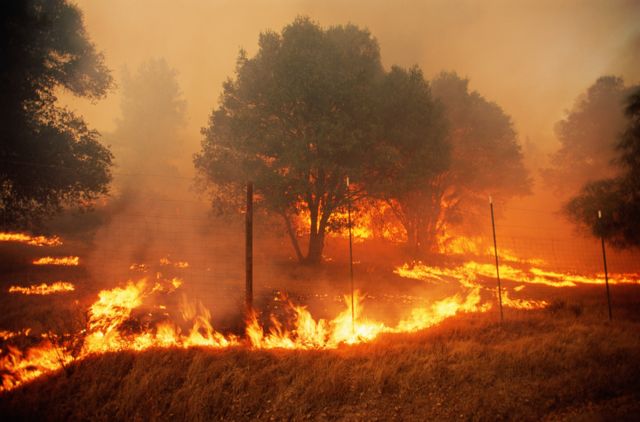 incêndio na Califórnia
