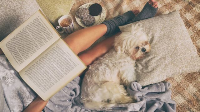 Chica con libro y perro