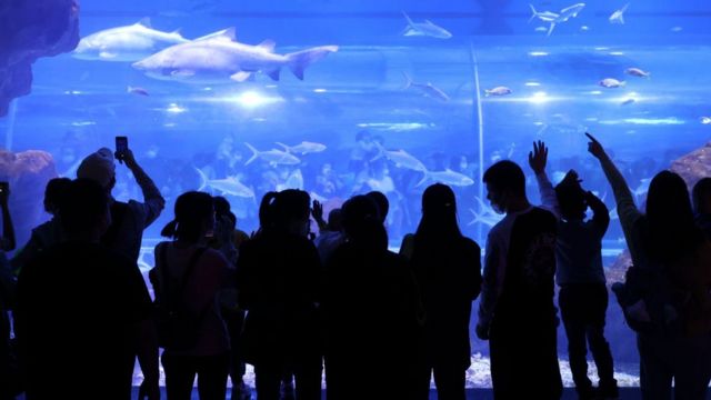 Tourists at Wuhan's aquarium