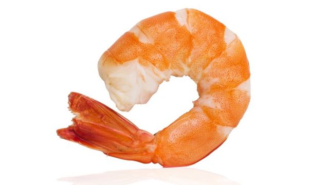 Shrimp or shrimp