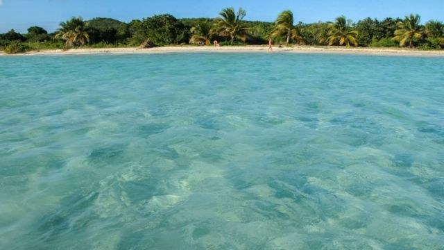 Aguas caribeñas en la playa de Vieques en Puerto Rico.