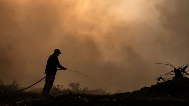 Brigadista combate chama no Pantanal