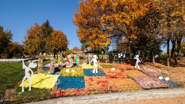 "Поющие цветы": киевский фестиваль хризантем в фото - BBC News Україна