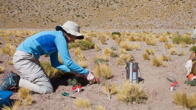 Pesquisadora colhendo amostras no Atacama