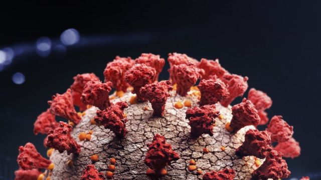 கொரோனா வைரஸ்