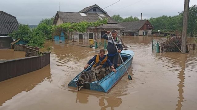 Без світла і питної води: що з людьми у затоплених Карпатах - BBC News  Україна