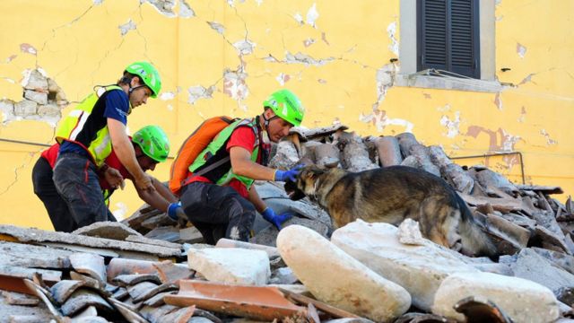 Rescatitas en un terremoto