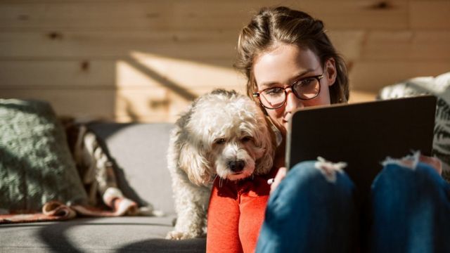 Una mujer con su perro y su laptop