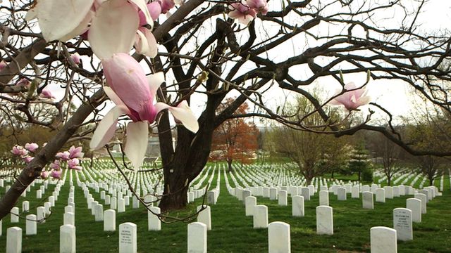 Elaine Harmon, a WW2 pilot, has been denied burial in Arlington cemetery. Her family is fighting to change that.
