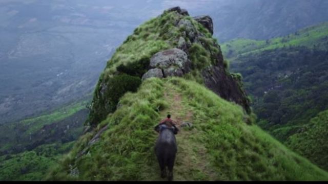 காடன் திரைப்படம்