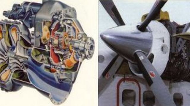 டோனியர்