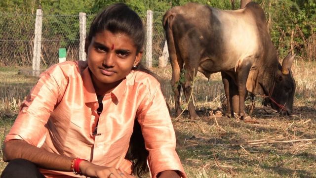 ஜல்லிக்கட்டு