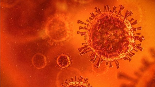 Coronavirus: qué se sabe sobre la nueva variante encontrada en Brasil (y  que llegó a Japón) - BBC News Mundo