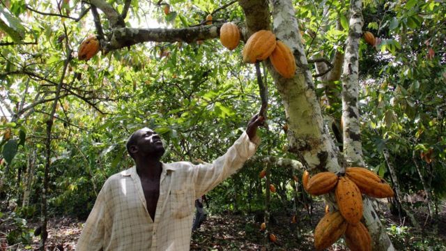 Côte d'Ivoire