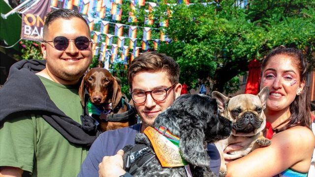 Gay Parade