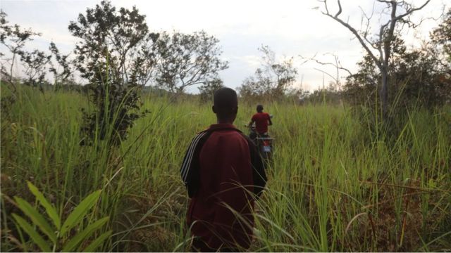 Malgré les difficultés administratives liées aux concessions communautaires, elles ont été largement saluées comme un outil efficace pour le développement durable des forêts