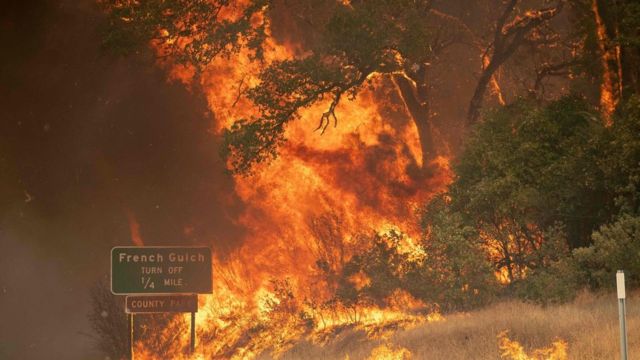 Trees burst into flame during the Carr fire near Whiskeytown, California on July 27, 2018