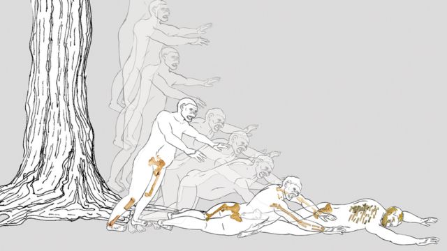 illustration of Lucy's fall and injuries