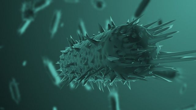 Ilustração de uma bactéria