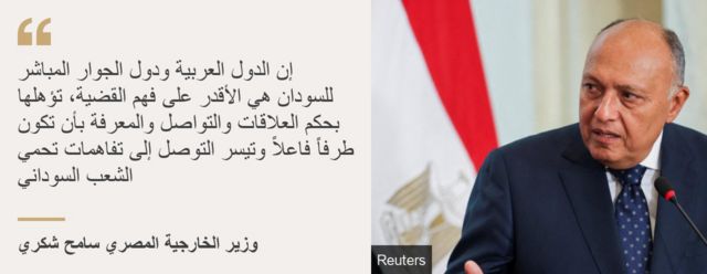 Egyptian Foreign Minister, Sameh Shoukry