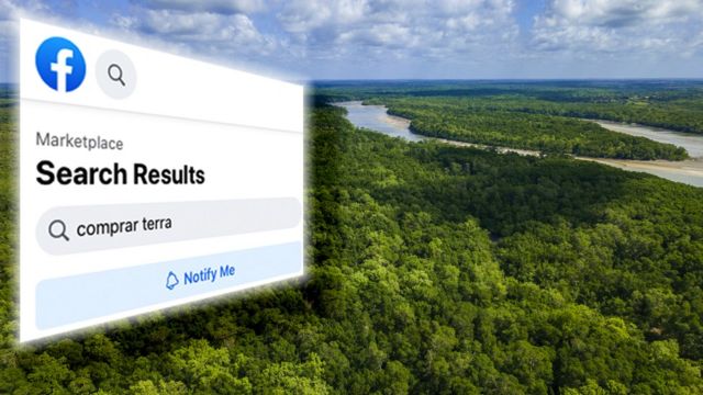 Amazon yağmur ormanlarındaki korumalı alanların Facebook'tan satıldığı ortaya çıktı.