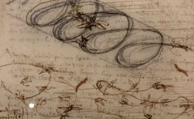 Рисунок Леонардо да Винчи, на котором изображены птицы в полете