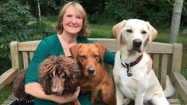 تعيش الدكتورة كلير غيست مع آشر، أحد الكلاب المشاركة في التجربة، جنبا إلى جنب مع كلب الكشف عن سرطان البروستاتا فلورين وكاشفة جرثومة الأمعاء الغليظة تالا