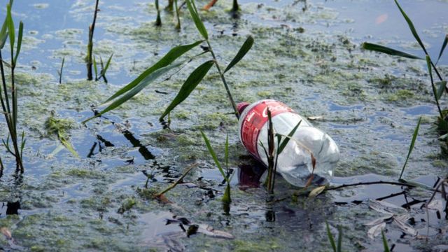 bottle in lake