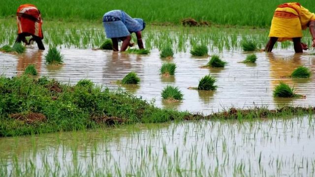 விவசாயிகள்