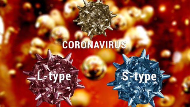 Ilustración del coronavirus covid-19 y sus mutaciones de tipo L y tipo S.