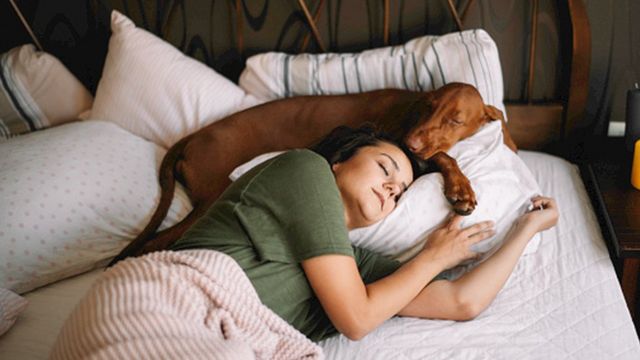 Женщина спит на кровати вместе с собакой