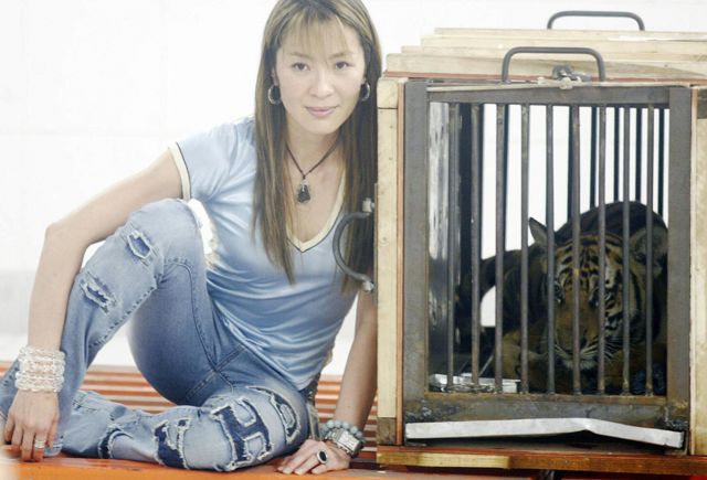 Yeoh ha participado en campañas de conservación de animales y como embajadora de buena voluntad de Naciones Unidas.