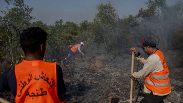 رجال الإطفاء ومتطوعون يحاولون السيطرة على حرائق الغابات في الرباط بالمغرب