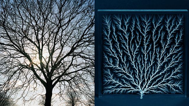 A la izquierda, la silueta de un árbol. A la derecha, la figura de Lichtenberg