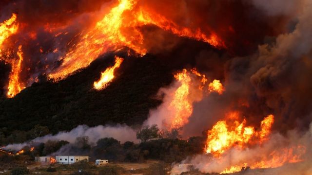Incendio Blue Cut