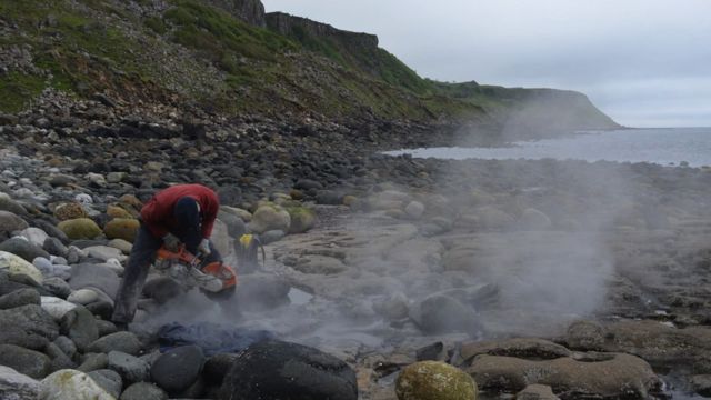 化石必须从古老的岩石中切割出来(photo:BBC)