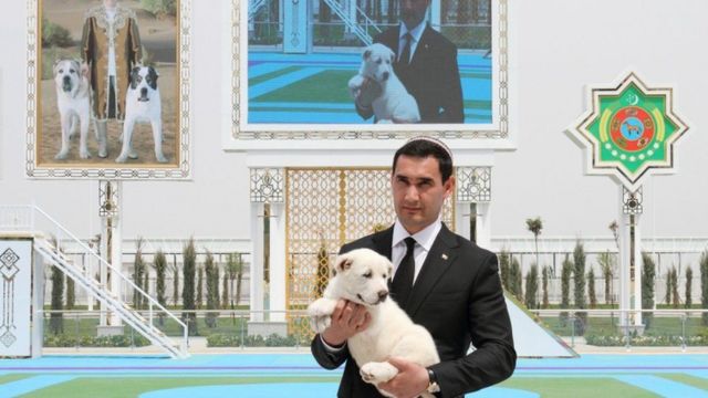 تركمانستان تحتفل بإجازة جديدة تم استحداثها لتكريم سلالة أصلية من الكلاب - BBC News عربي