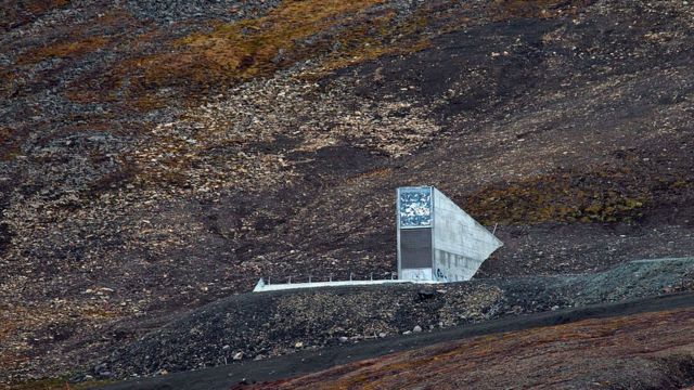 Entrada al Banco Mundial de Semillas de Svalbard