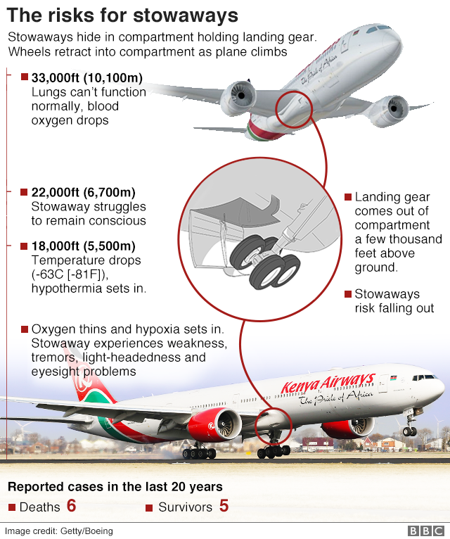 Kenya stowaway 'may have been airport worker' - BBC News