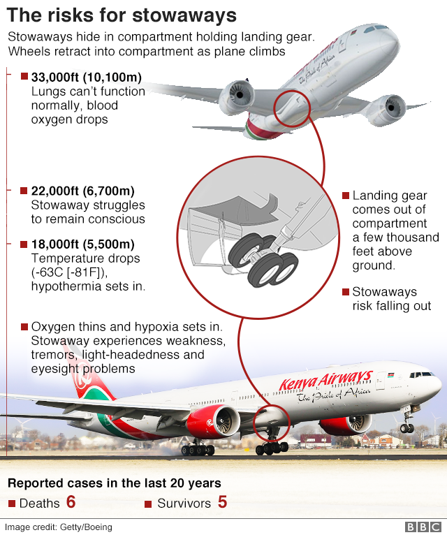 Plane stowaways: Do any survive? - BBC News